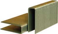 Bostitch BCS1512 Flooring Staple, 1/2 in W Crown, 1-1/2 in L Leg, 15-1/2 Gauge, Steel