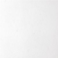 USG 4290 Ceiling Tile, 12 in L, 12 in W, Custom Pattern, Staple Flange Edge, Wood, White