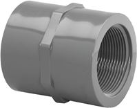 Lasco 830005BC Pipe Coupling, 1/2 in, FIP, PVC, SCH 80 Schedule