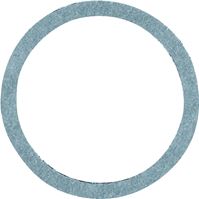 Danco 35580B Cap Thread Gasket, #45, 7/8 in ID x 1-1/16 in OD Dia, 1/16 in Thick, Nylon, Pack of 5