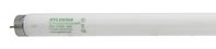 Sylvania 22179 Fluorescent Bulb, 28 W, T8 Lamp, Medium G13 Lamp Base, 2590 Lumens, 4100 K Color Temp, Daylight Light, Pack of 30