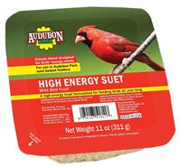 Audubon Park 13065 High Energy Suet, 11 oz