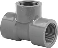 Lasco 805020BC Pipe Tee, 2 in, FIP, PVC, SCH 80 Schedule