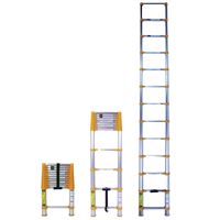 Xtend+Climb Home Series 770P Telescoping Ladder, 16-1/2 ft Max Reach H, 13-Step, 250 lb, 1-1/2 in D Step, Aluminum