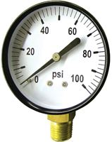 Green Leaf SG 100 1PK Pressure Gauge, Standard