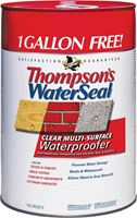 Thompsons WaterSeal TH.024106-06 Waterproofer, Clear, 6 gal, Can