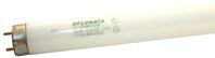 Sylvania 21781 Fluorescent Bulb, 32 W, T8 Lamp, Medium G13 Lamp Base, 2975, 4100 K Color Temp, Cool White, Pack of 30