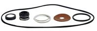 Parts 2O Seal & Gasket Kit 