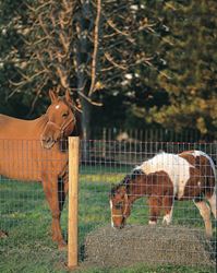 Red Brand Square Deal Tradition 70314 Horse Fence, 100 ft L, 60 in H, Non-Climb Mesh, 2 x 4 in Mesh, 12.5 ga Gauge