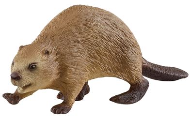 Schleich-S Wild Life 14855 Animal Toy, 3 to 8 Years, Beaver