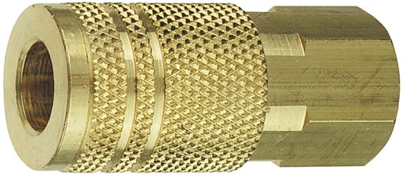 Tru-Flate 13-235 Coupler, 1/4 in, FNPT, Brass