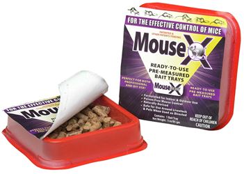 MouseX 620107 Bait Tray, 9.6 oz Pack