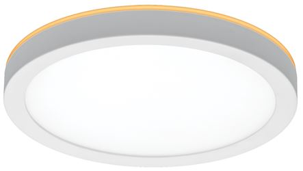 ETI LowPro Series 56568114 Ceiling Light with Nightlight, 120 V, 12 W, Integrated LED Lamp, 800 Lumens, White Fixture