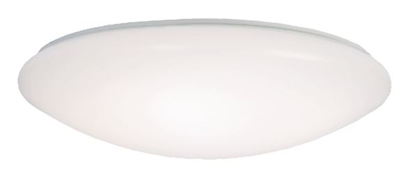 Metalux FM15WRCCR Round Flush Mount Ceiling Light, 120 V, 21.3 W, LED Lamp, 1600 Lumens Lumens, Steel Fixture
