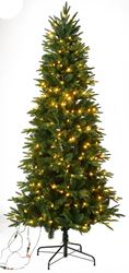 Santas Forest 27771 Prelit Black Hills Spruce Tree, 7 ft H