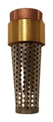 Campbell Yellow Brass Foot Valve 