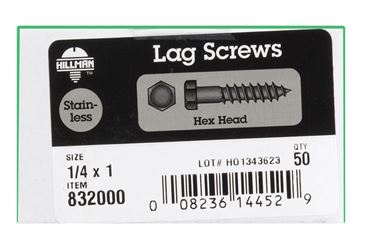 Hillman 1/4 in. x 1 in. L Hex Lag Screw 