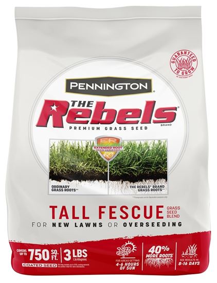 SEED REBEL TALL FESCUE MIX 3LB