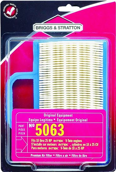 Briggs & Stratton 5063K Air Filter with Pre-Cleaner, Paper Filter Media, For: 18 to 26 Gross hp Intek V-Twin Engine