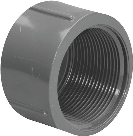 Lasco 848010BC Pipe Cap, 1 in, FIP, PVC, SCH 80 Schedule