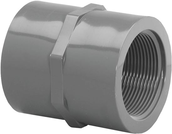 Lasco 830015BC Pipe Coupling, 1-1/2 in, FIP, PVC, SCH 80 Schedule