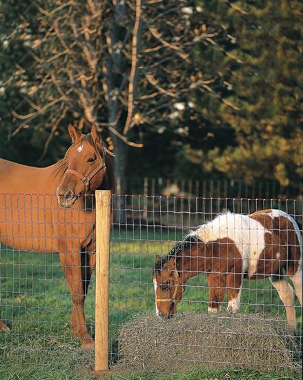 Red Brand Square Deal Tradition 70318 Horse Fence, 100 ft L, 72 in H, Non-Climb Mesh, 2 x 4 in Mesh, 12.5 ga Gauge