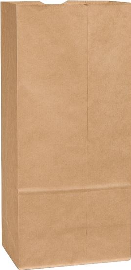 Duro Bag 80078 BBL Sack, 12 x 7 x 17 in, 66 lb, Kraft Paper, Brown