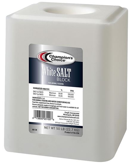 Champion's Choice 100012578 Salt Block, 50 lb