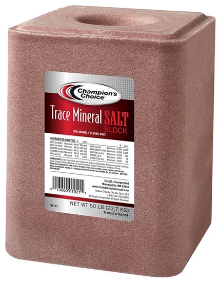 Champion's Choice 100012624 Trace Mineral Salt, 50 lb