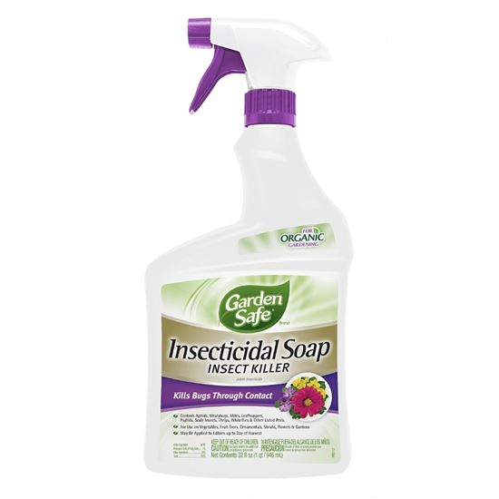 Garden Safe HG-93216 Ready-to-Use Insecticidal Soap Insect Killer, Liquid, Spray Application, 32 fl-oz