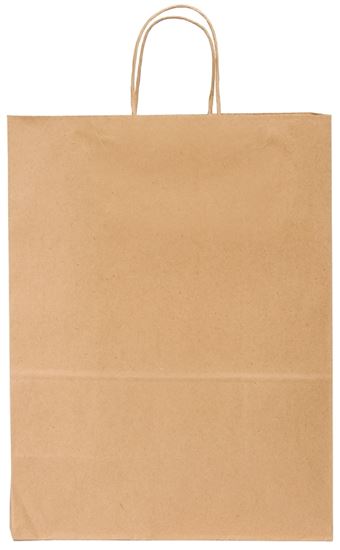 Duro Bag Dubl Life 87124 Shopping Bag, 10 in L, 5 in W, 13 in H, Kraft Paper, Brown