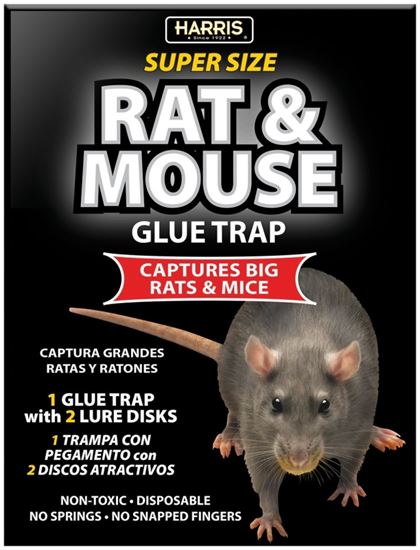 Harris BLKRAT-1 Rat and Mouse Glue Trap