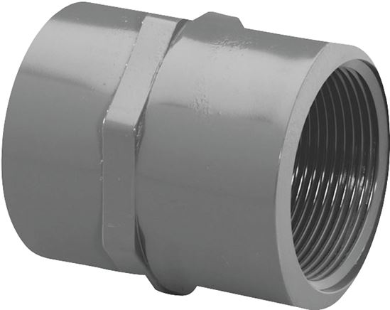 Lasco 835012BC Pipe Adapter, 1-1/4 in, Slip x FIP, PVC, SCH 80 Schedule