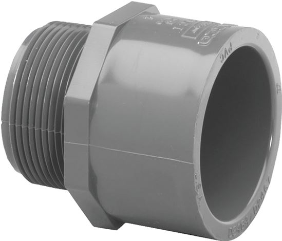 Lasco 836012BC Pipe Adapter, 1-1/4 in, Slip x MIP, PVC, SCH 80 Schedule