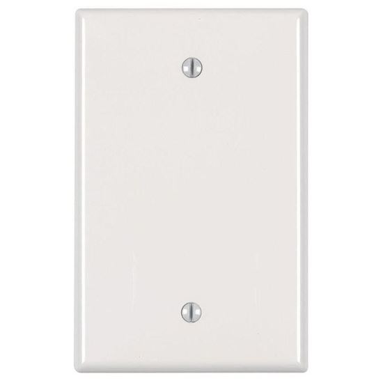 Leviton PJ13-I Blank Wallplate, 3-1/8 in L, 4-7/8 in W, 1/4 in Thick, 1 -Gang, Nylon, Ivory, Box Mounting