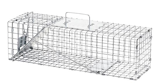 Havahart 1078 1-Door Standard Animal Trap, 24 in L, 7 in W, 7 in H