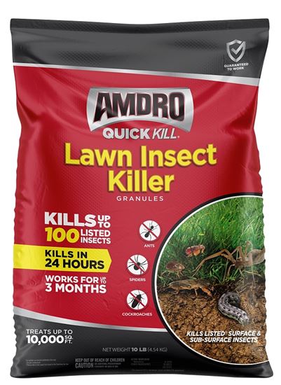 INSECT KLLR LAWN GRAN 10LB