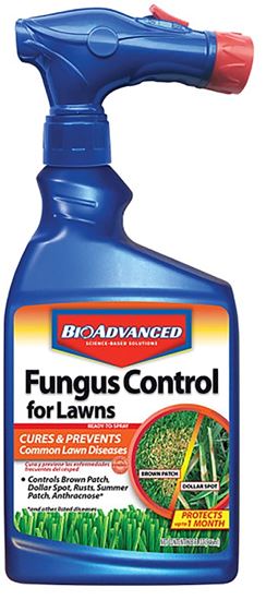 BioAdvanced 701270A Fungicide, 32 oz