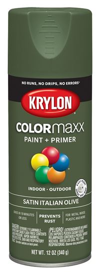 Krylon K05566007 Enamel Spray Paint, Satin, Italian Olive, 12 oz, Can