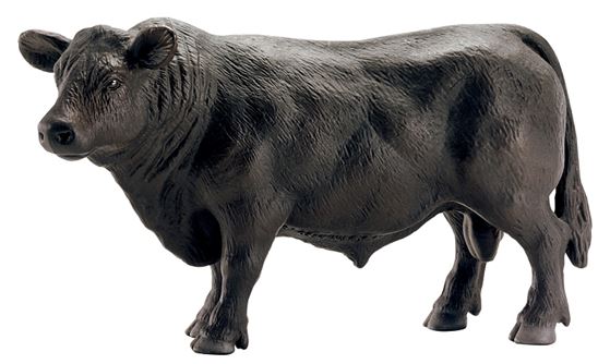 Schleich-S 13766 Figurine, 3 to 8 years, Angus Bull, Plastic