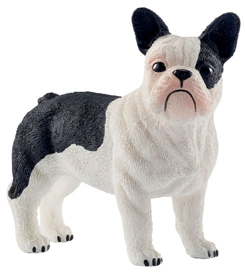 Schleich-S 13877 Figurine, 3 to 8 years, French Bulldog, Plastic