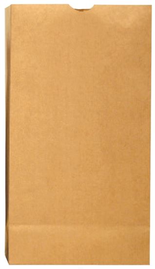 Duro Bag Dubl Life 18405 SOS Bag, #5, 5-1/4 in L, 3-7/16 in W, 10-15/16 in H, Kraft Paper, Brown