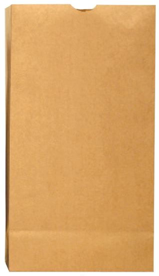 Duro Bag Dubl Life 18404 SOS Bag, #4, 5 in L, 3-1/8 in W, 9-3/4 in H, Kraft Paper, Brown