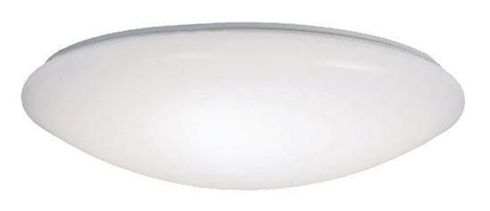 Metalux FM19WRCCR Round Flush Mount Ceiling Light, 120 V, 32.8 W, LED Lamp, 2500 Lumens Lumens, Steel Fixture