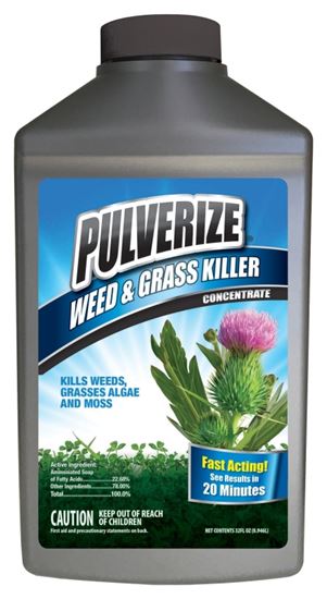 Pulverize PWG-C-032 Concentrated Weed and Grass Killer, Spray Application, 32 oz