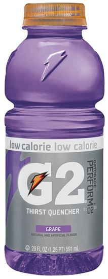 Gatorade 20406 Thirst Quencher Sports Drink, Liquid, Grape Flavor, 20 oz Bottle, Pack of 24