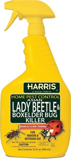 Harris HBXA-32 Beetle Killer, Liquid, Spray Application, 32 oz