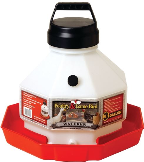 Little Giant PPF3 Poultry Waterer, 3 gal Capacity, Plastic, Pack of 2