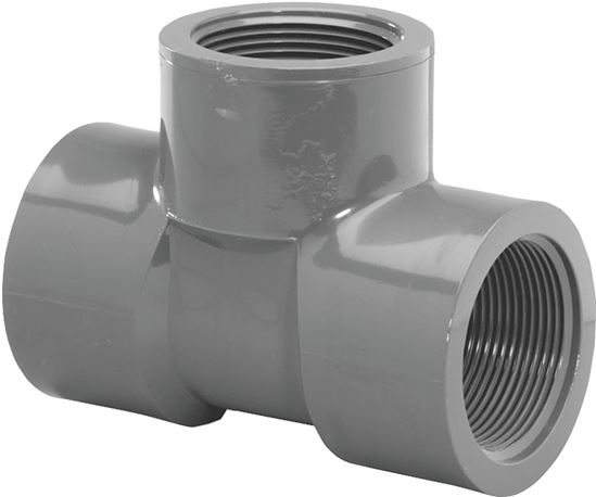 Lasco 805012BC Pipe Tee, 1-1/4 in, FIP, PVC, SCH 80 Schedule