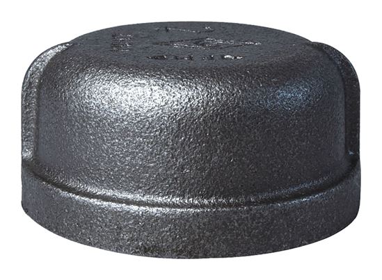 Prosource 18-2B Pipe Cap, 2 in, FIP, Malleable Iron, 40 Schedule, 300 psi Pressure